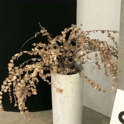 Furry绘画配色指南兽圈群